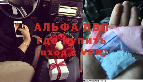 ECSTASY Ельня